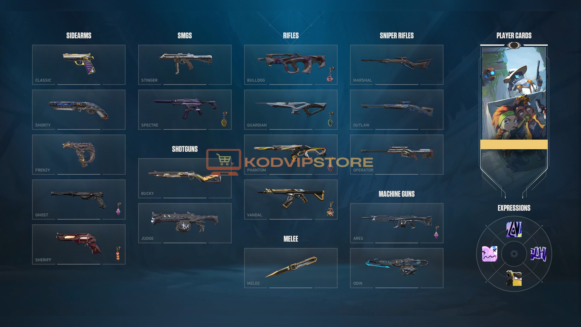 KodVipStore